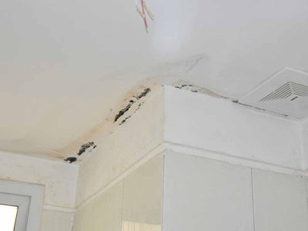 Cần xử lý nhanh chóng hiện tượng trần nhà thấm nứt