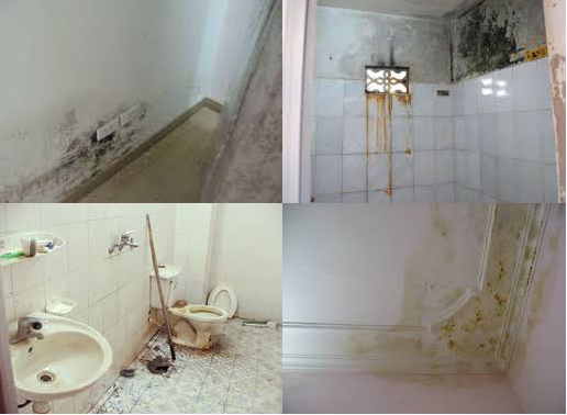 Xử lý nhà vệ sinh bị thấm nước xuống tầng dưới hiệu quả và triệt để
