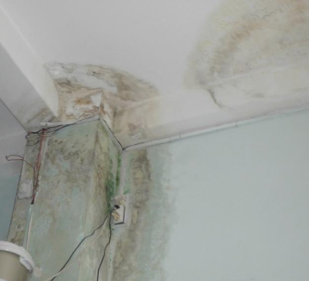 Tường nhà bị thấm gây ảnh hưởng nghiêm trọng