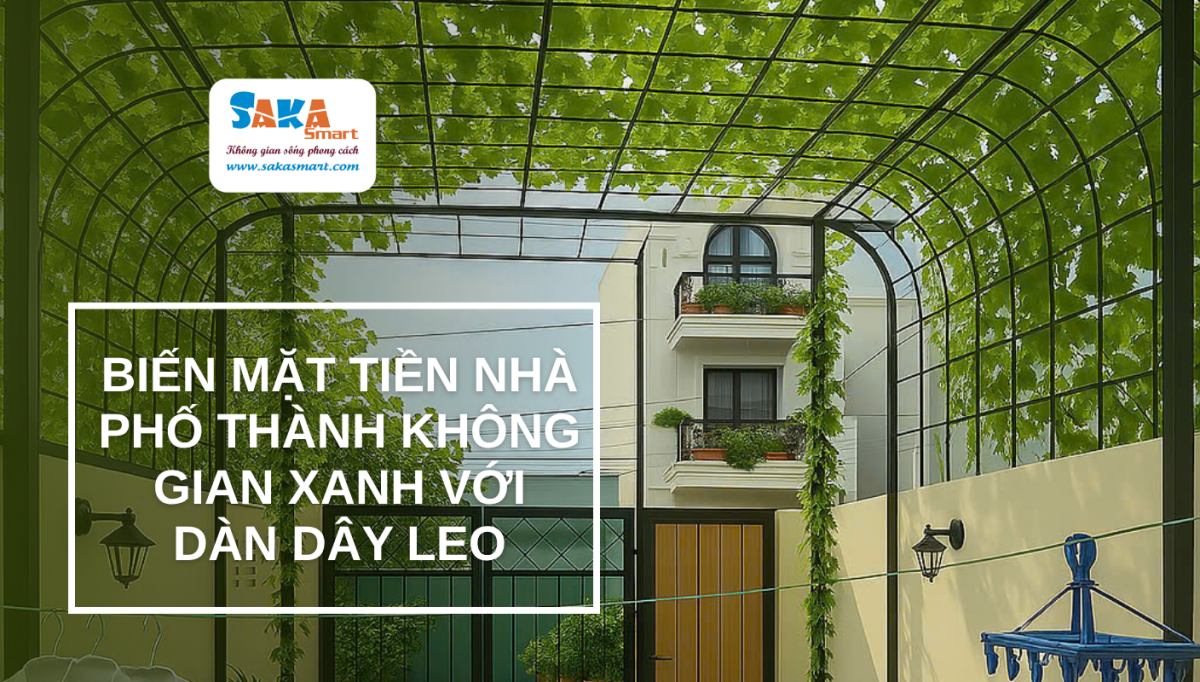 Biến mặt tiền nhà phố thành không gian xanh với giàn dây leo