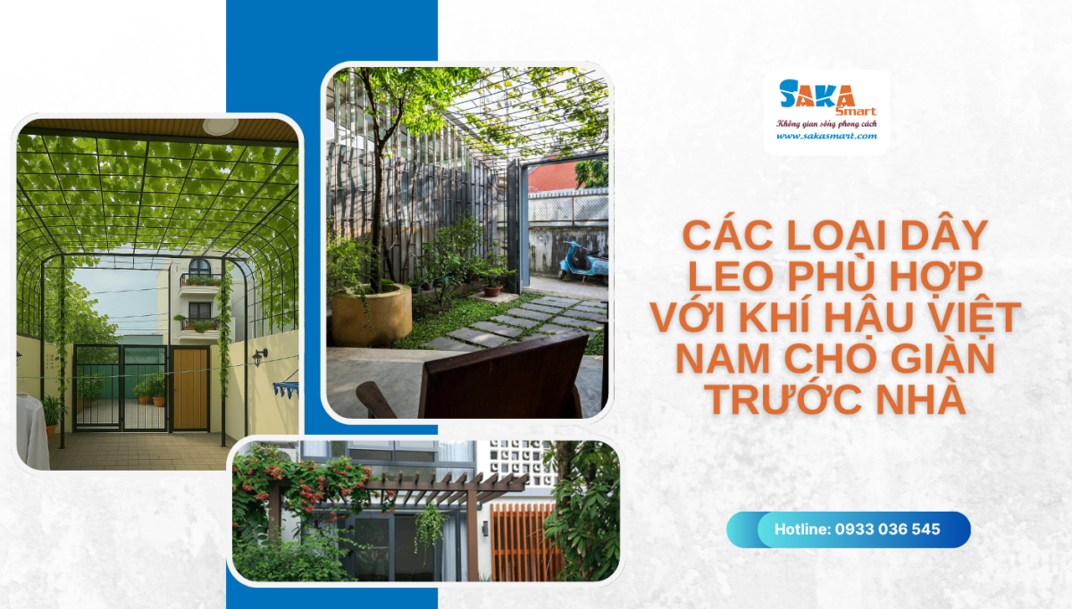 Các loại cây leo phù hợp với khí hậu Việt Nam cho giàn trước nhà