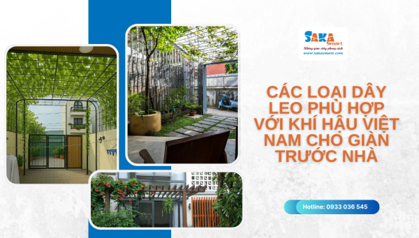 Các loại cây leo phù hợp với khí hậu Việt Nam cho giàn trước nhà