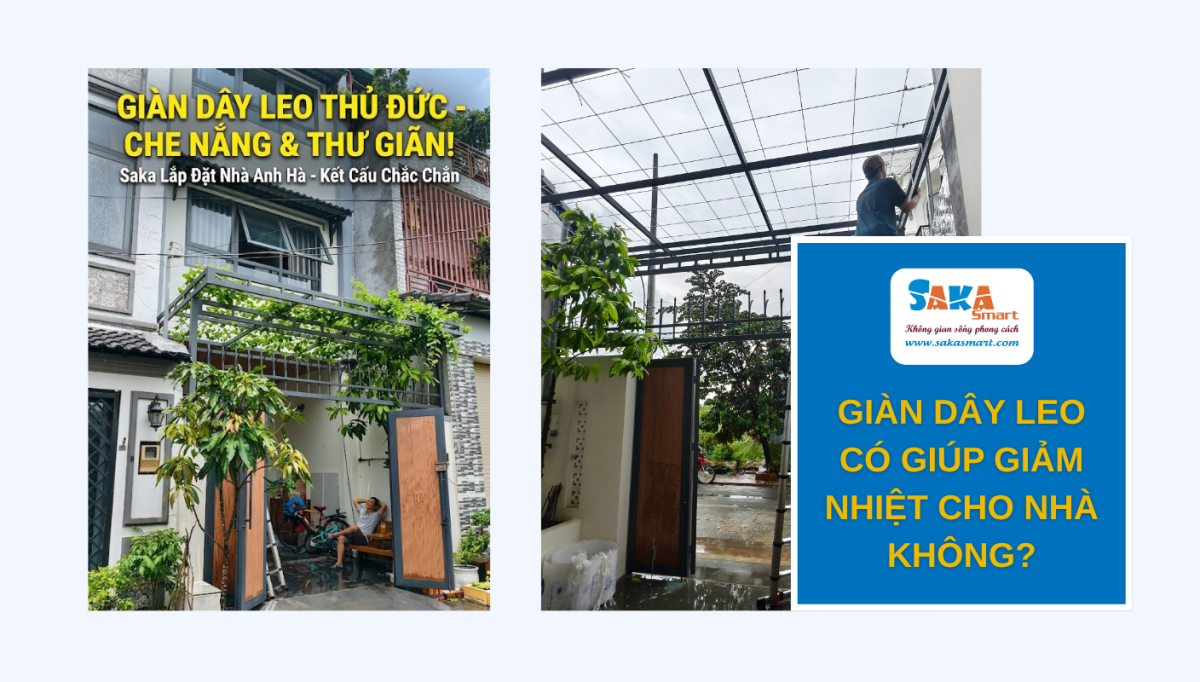 Giàn cây leo có giúp giảm nhiệt cho nhà không?